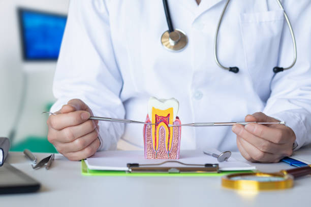 Best Emergency Dentist for Special Needs Patients in Marlboro Meadows, MD